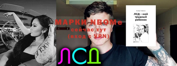 прущий лед Абаза