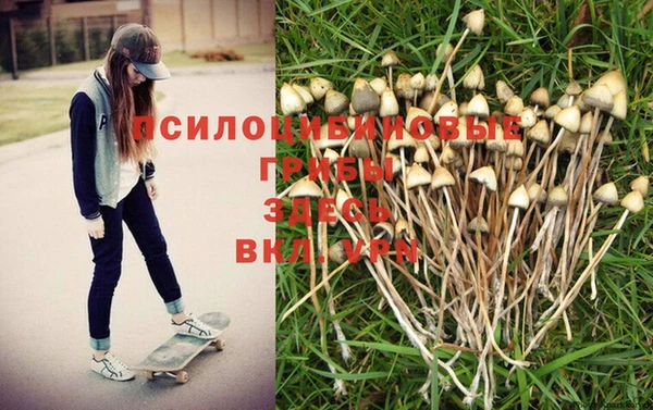 хмурый Абдулино