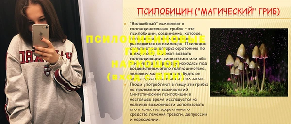 мдпв Абинск