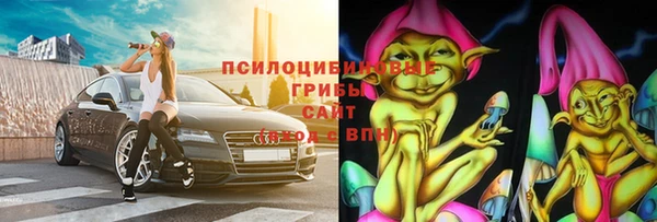 прущий лед Абаза